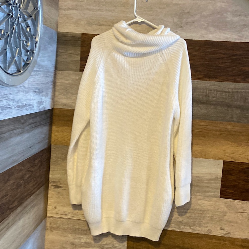Turtle neck sweater dress